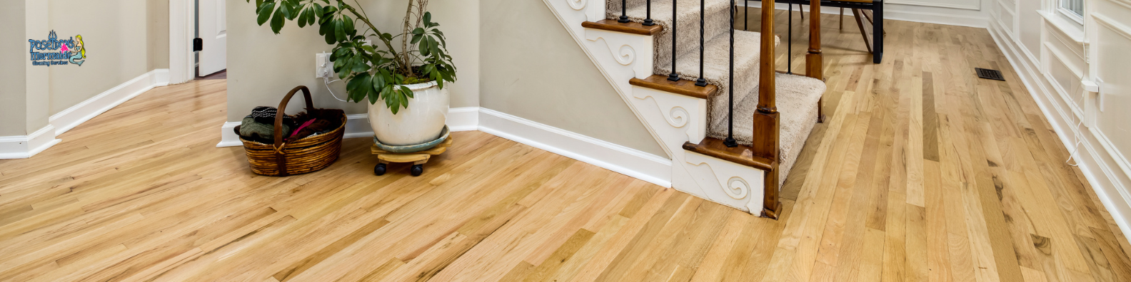 house cleaning services near me