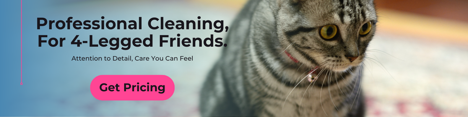 best pet friendly cleaning company in toledo