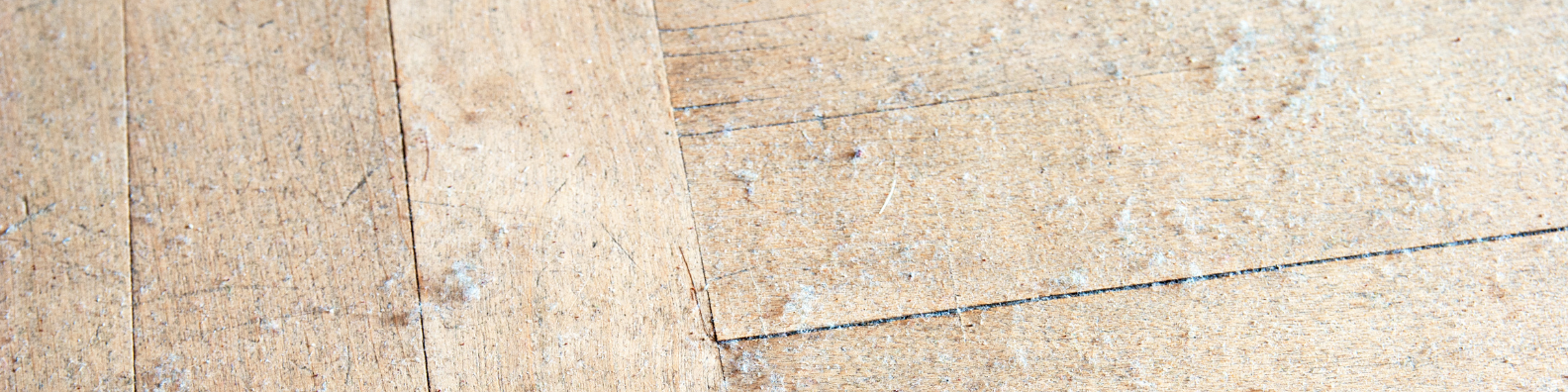 Best Allergy Cleaning Routine for Pet Owners