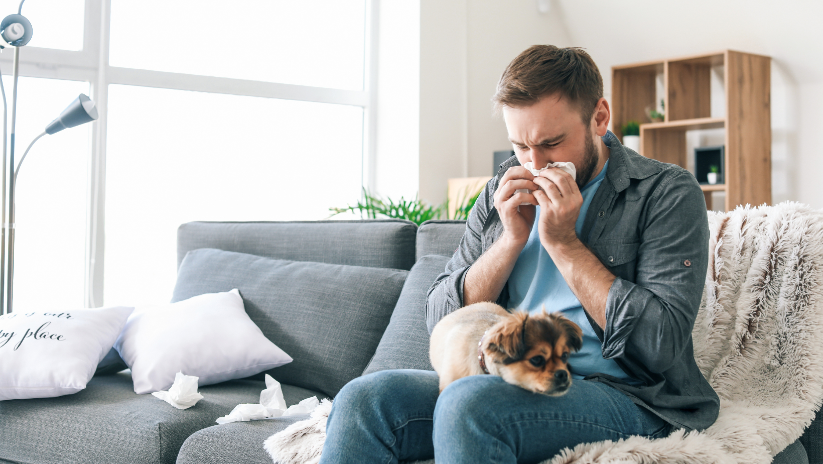 How to Reduce Allergens in Your Home