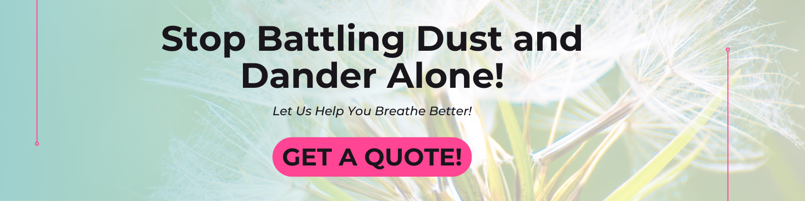 Allergy-Friendly Cleaning Tips for Toledo Homes